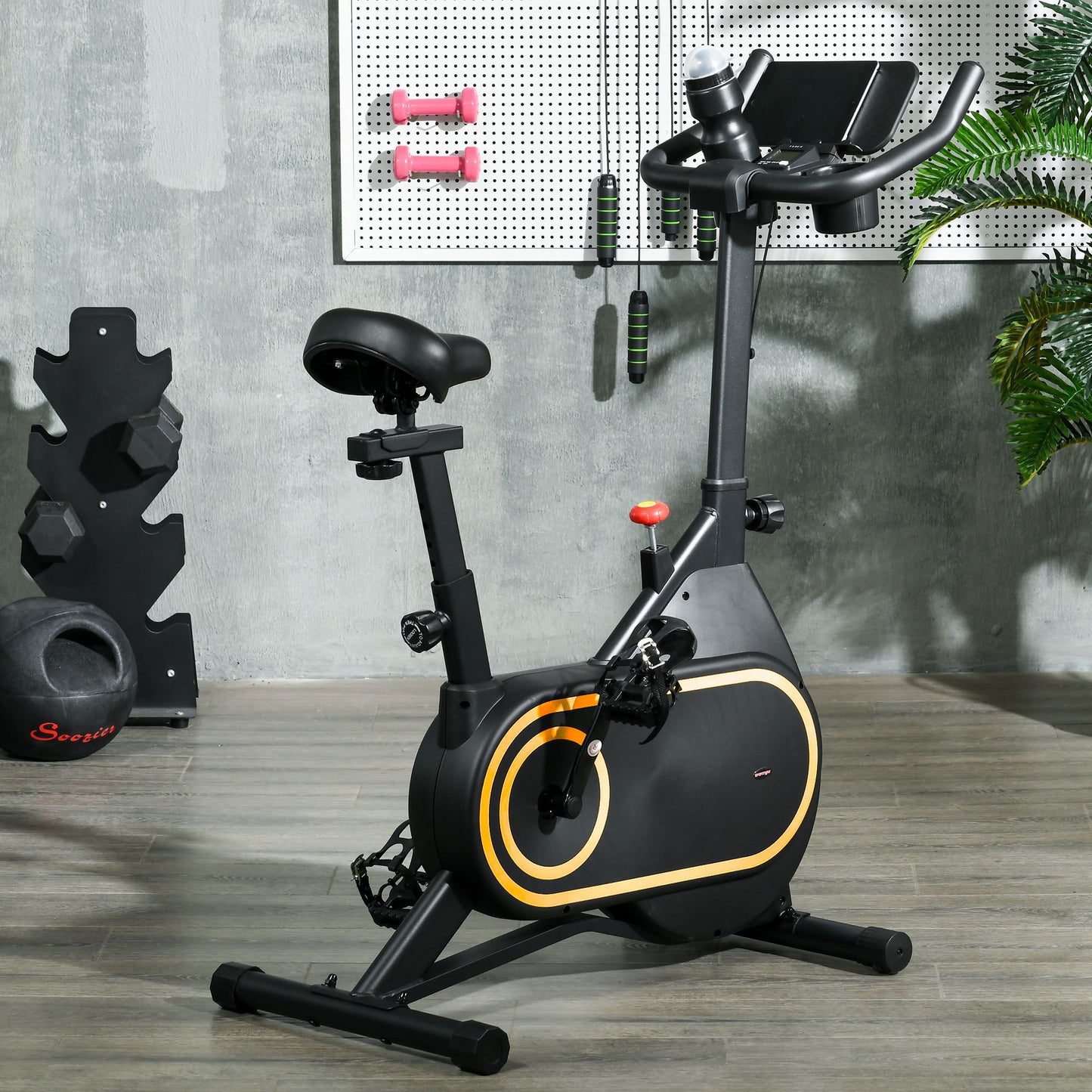 Soozier Exercise Bike, Magnetic Resistance Exercise Bike with LCD Display, Low Noise Stationary Indoor Cycling Bike for