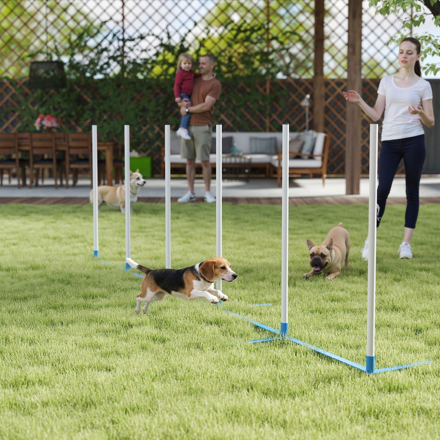 Adjustable Dog Agility Training Obstacle Set with Weaves Poles and Storage Bag for Pet Dogs Outdoor Games Exercise Blue