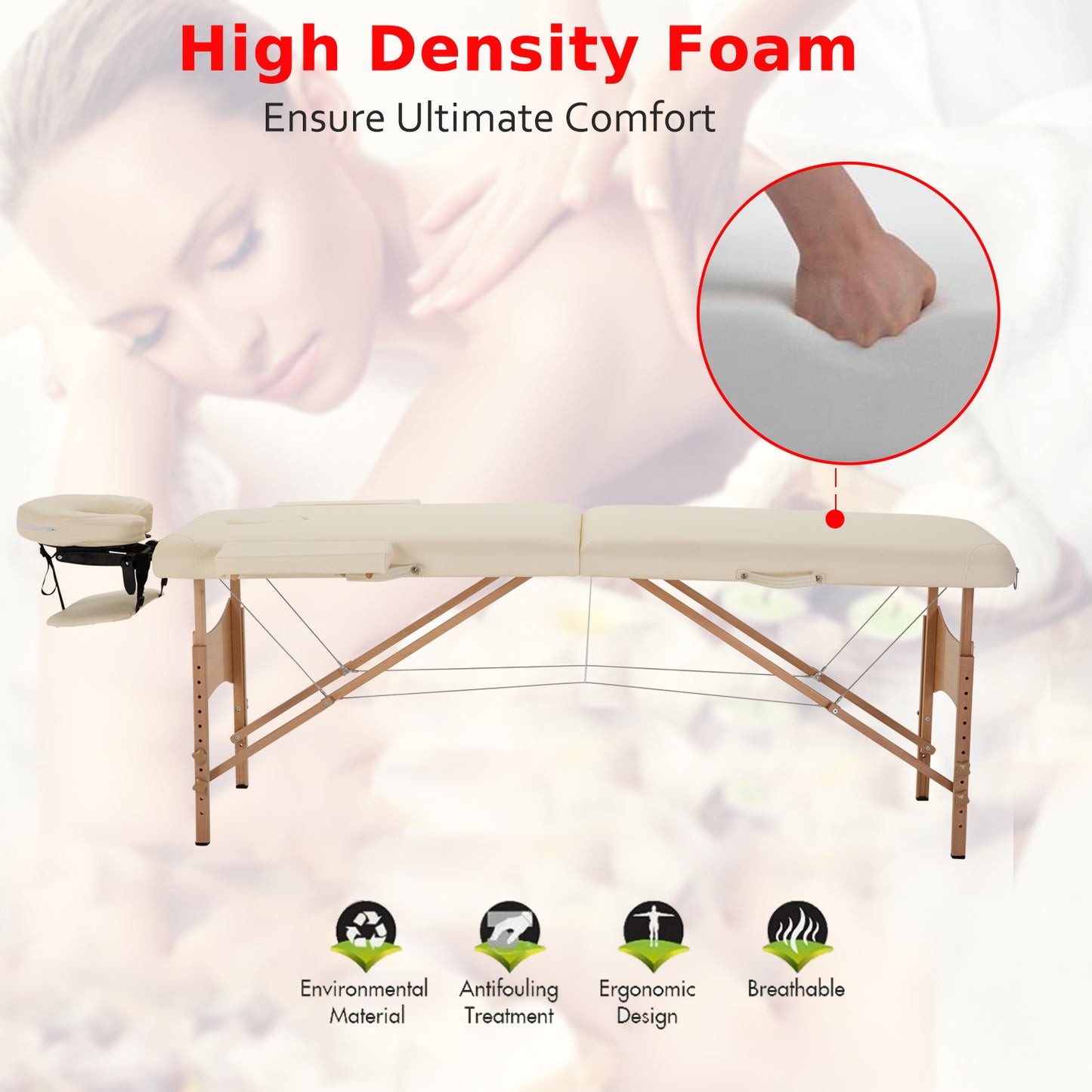 Height Adjustable Professional Salon Spa Facial Couch Bed, Portable Folding Massage Table, Beige