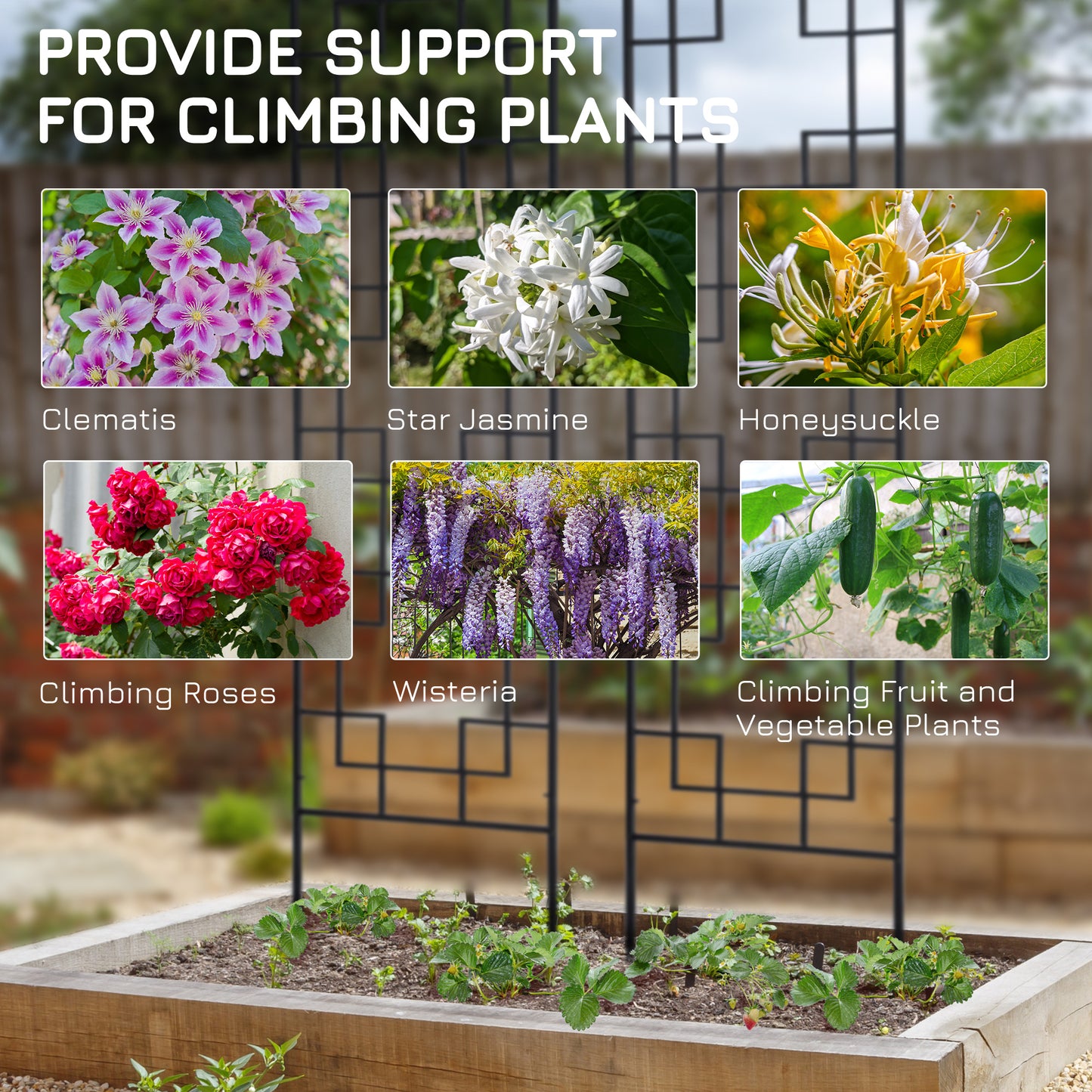 2 Pack Garden Trellis for Climbing Plants, Outdoor Metal Grid Panels for Roses, Vine Flower, Cucumber, Clematis, 72" Tal
