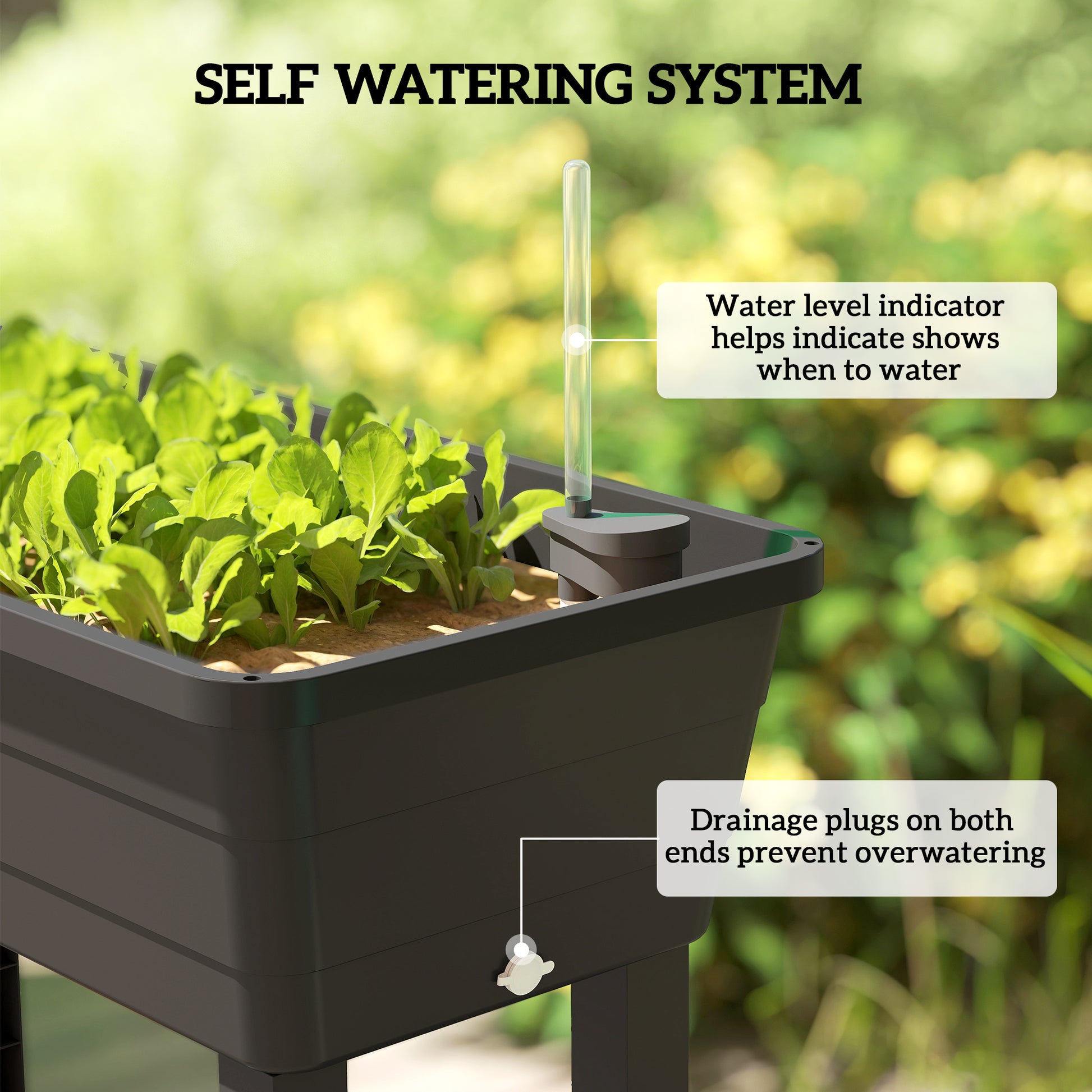 41L Self Watering Raised Garden Bed w/ Ventilation Transparent Lid Greenhouse, Planter Box w/ Storage Shelf, Black