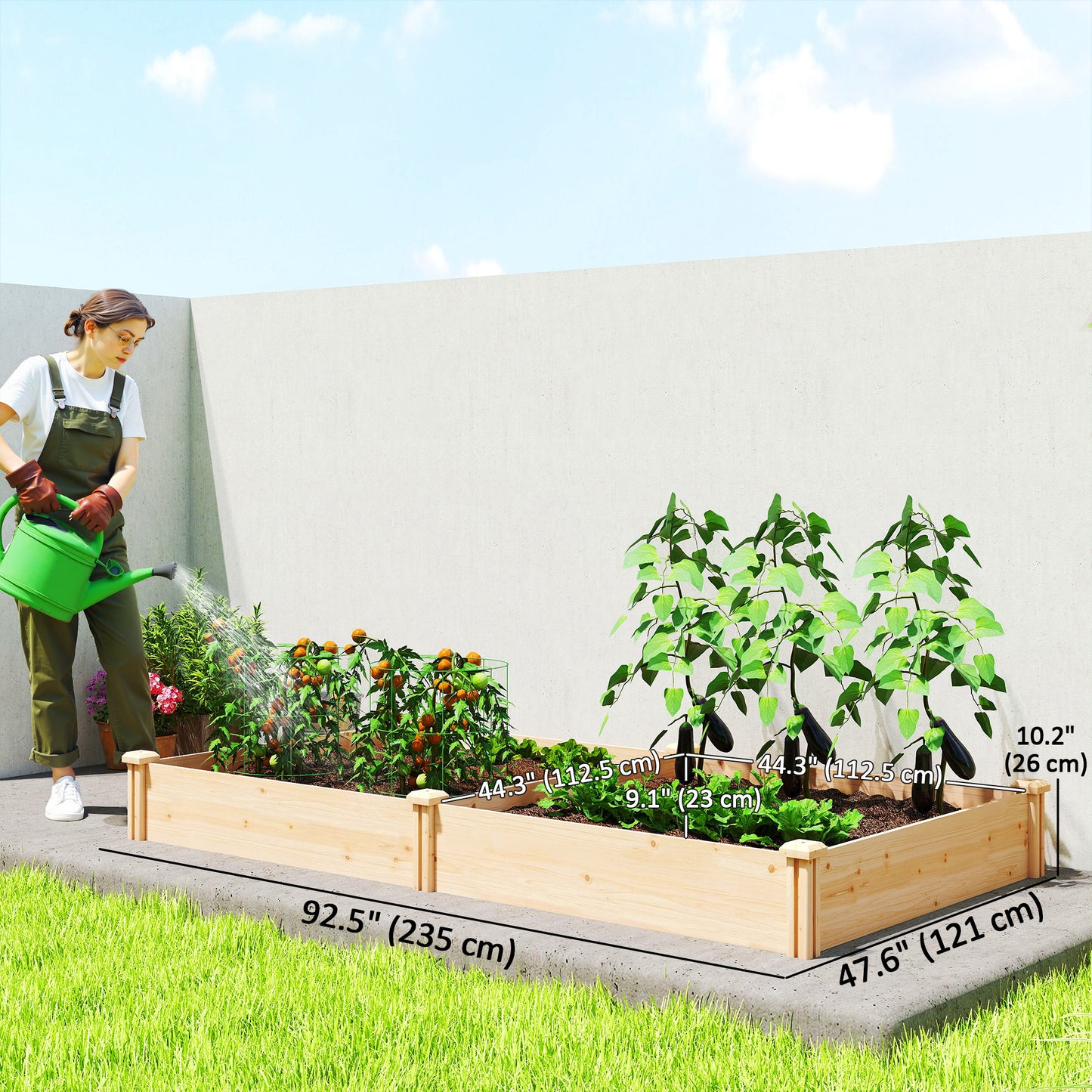 Wooden Raised Garden Bed, Outdoor Planter Box with Divider and Open Bottom for Flowers, Herbs, Vegetables, DIY Painting