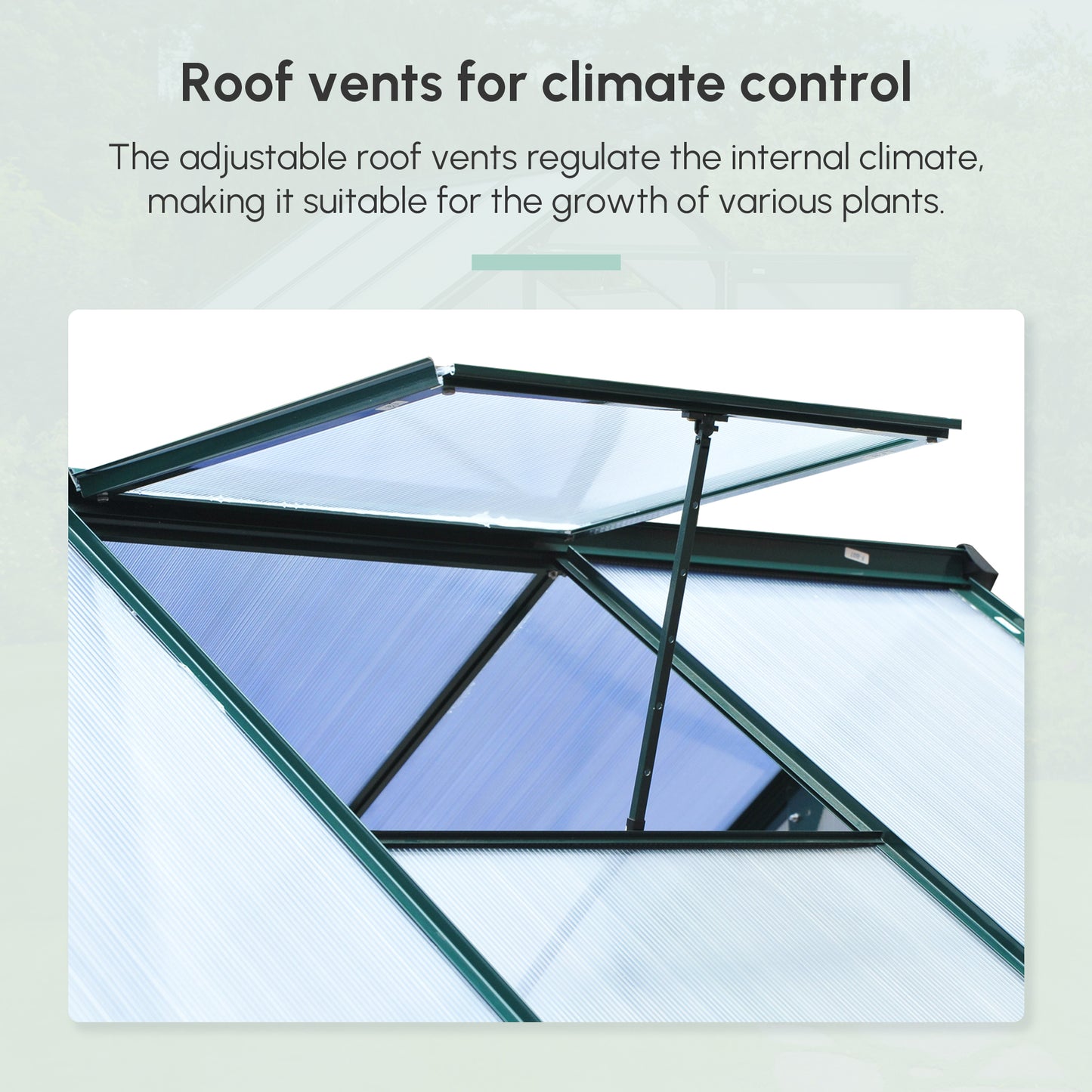 6.2' x 6.3' x 6.6' Clear Polycarbonate Greenhouse, Large Walk-In Green House Garden, Plants Grow, Galvanized Sheet  Fram