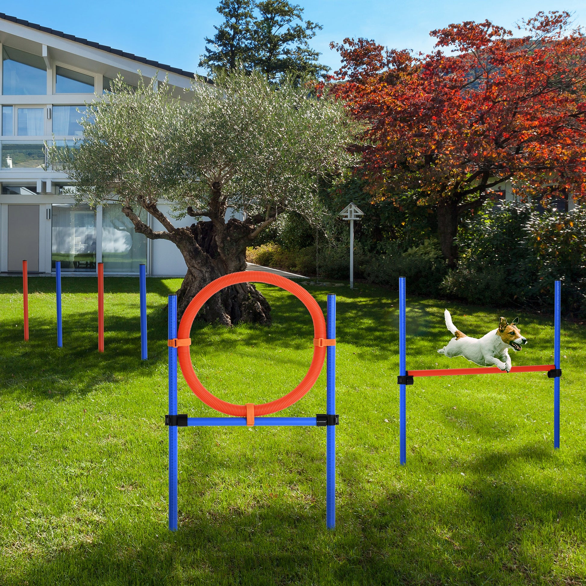 Dog Pet Agility Training Kit High Jump Weave Pole Ring Obedience Training Set Adjustable Equipment Portable