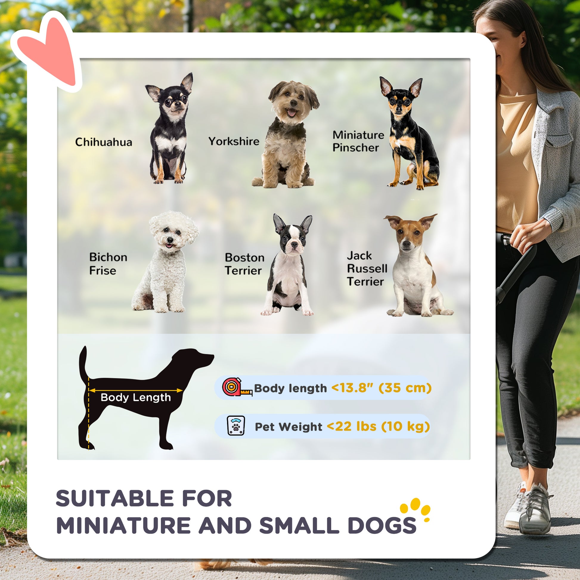 4 Wheels Pet Stroller, 3 in 1 Dog Cat Travel Folding Carrier, for Small Dogs, Detachable, w/ Brake, Canopy, Basket, Stor