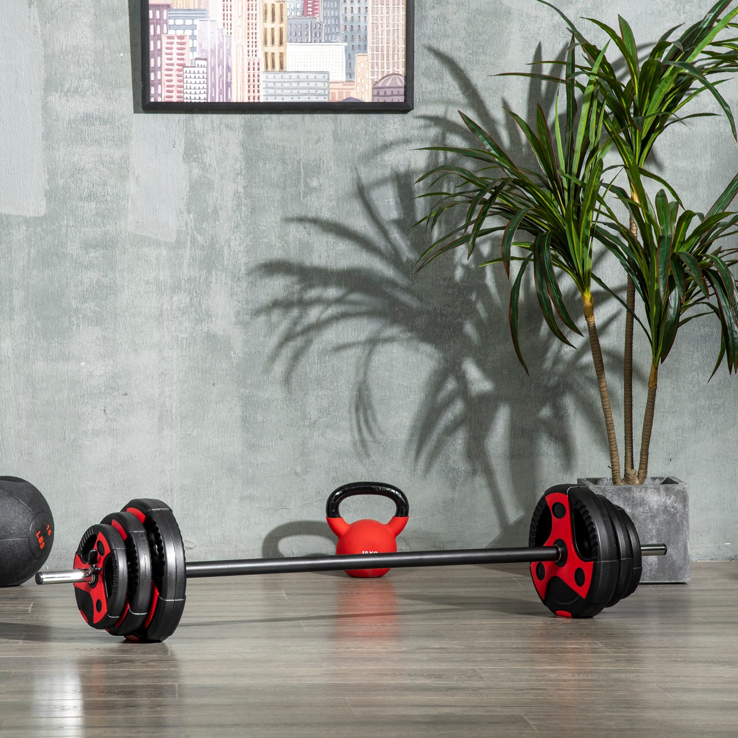 Soozier 44lbs Adjustable Barbell Weight Set, Solid One-Piece Barbell Bar and Weights for Home Gym Weight Lifting Strengt
