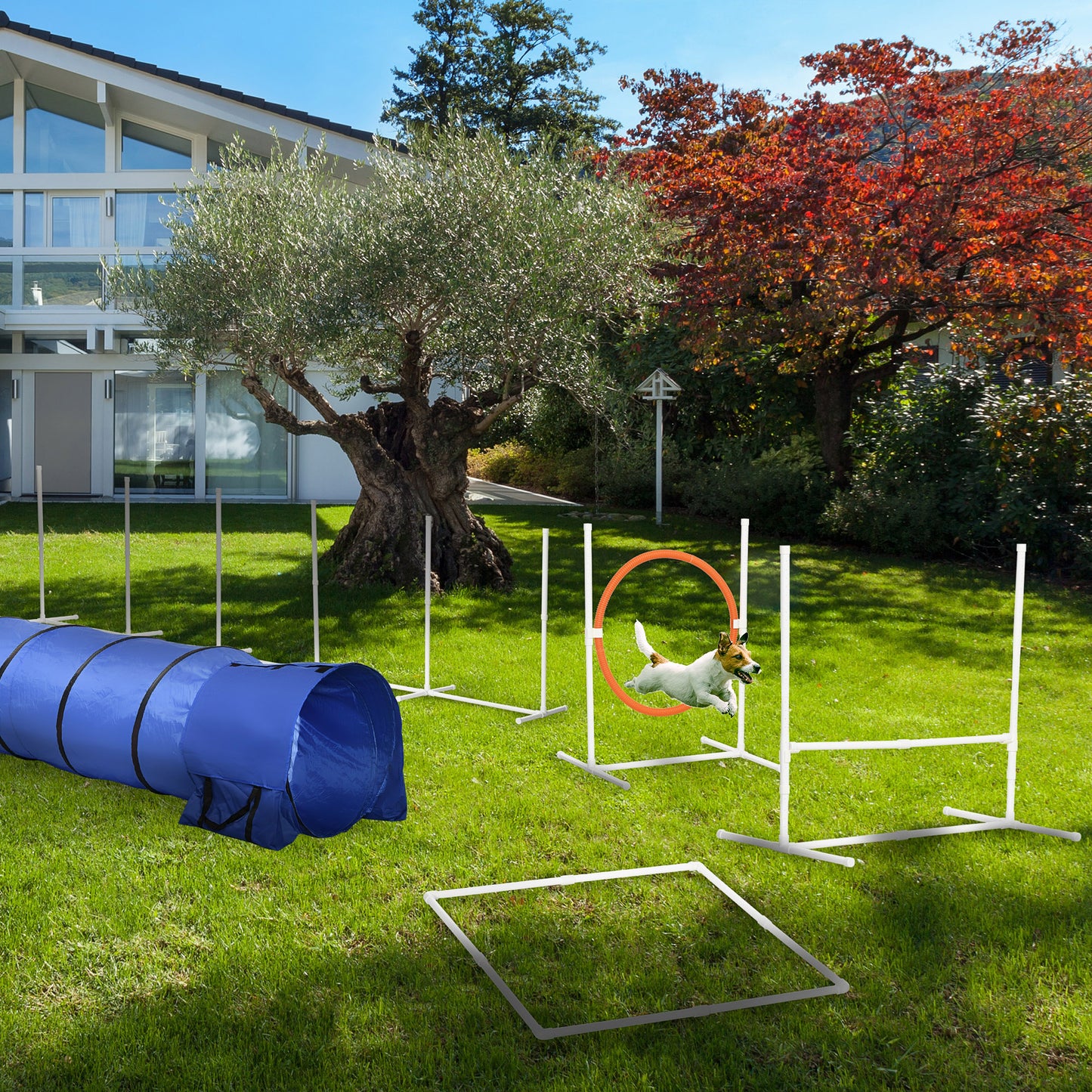 5Pcs Dog Agility Training Equipment with 8.7KG Net Weight, Pet Agility Set with Tunnels, Adjustable Jump Ring, Jumper, W