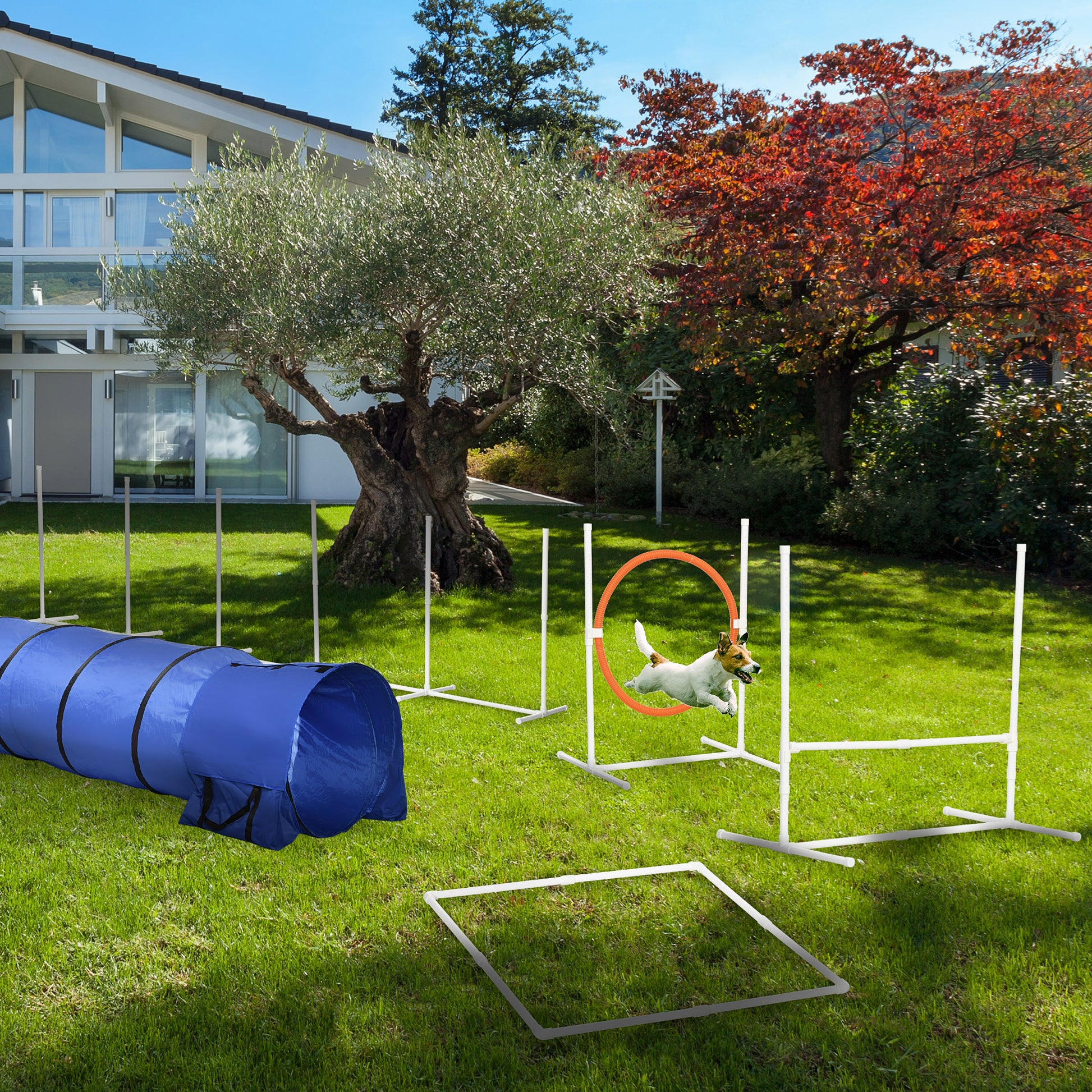 5Pcs Dog Agility Training Equipment with 8.7KG Net Weight, Pet Agility Set with Tunnels, Adjustable Jump Ring, Jumper, W