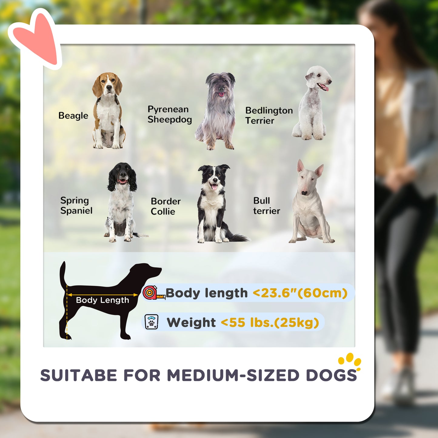 Foldable Pet Stroller for Medium Dogs with Four Big Wheels, Shock-Absorbing Frame, Safety Leashes, Brakes, Dark Grey