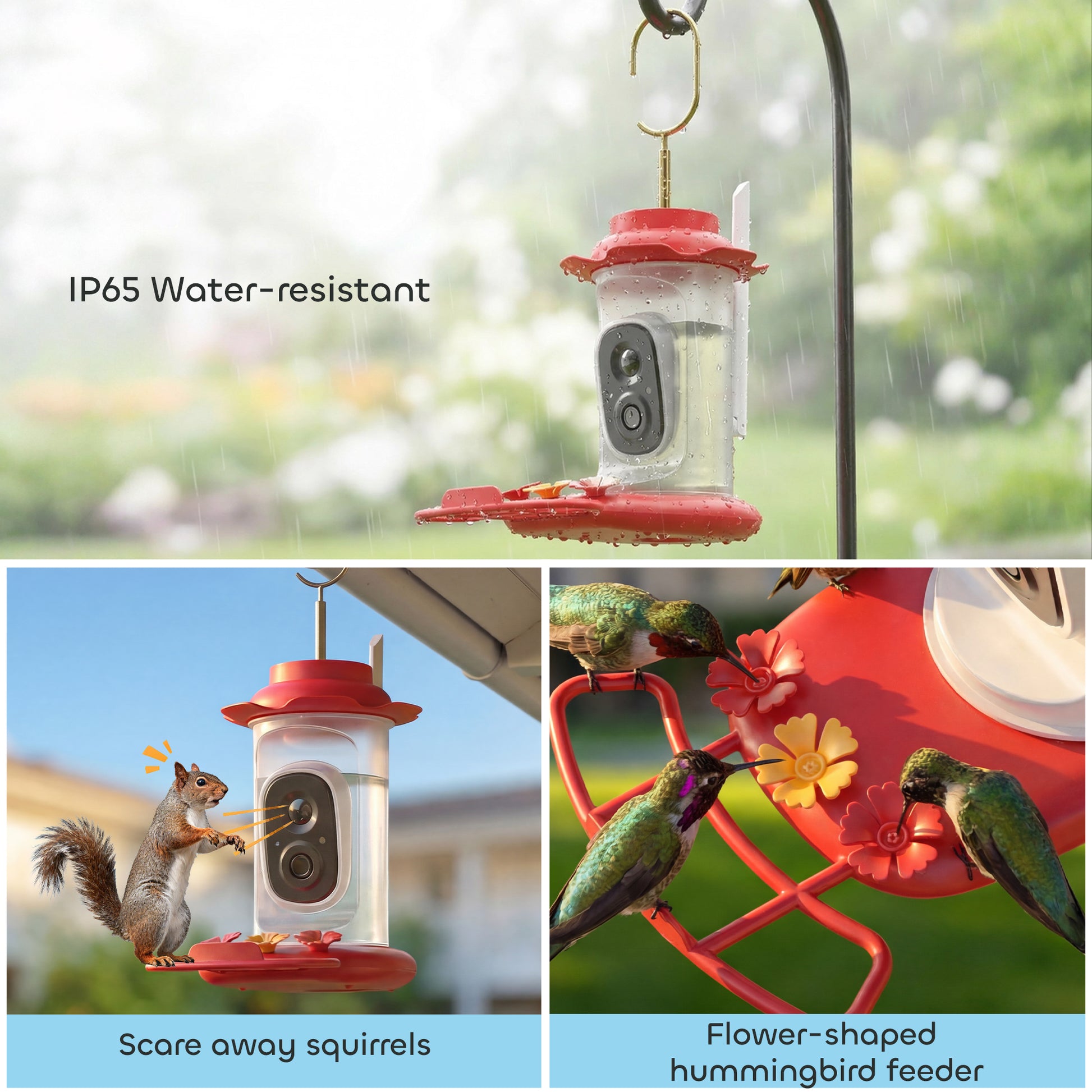 Smart Bird Feeder with Camera, AI Identify 16000 Birds, 2K HD Live Video, 3W Solar, Instant Arrival Alerts