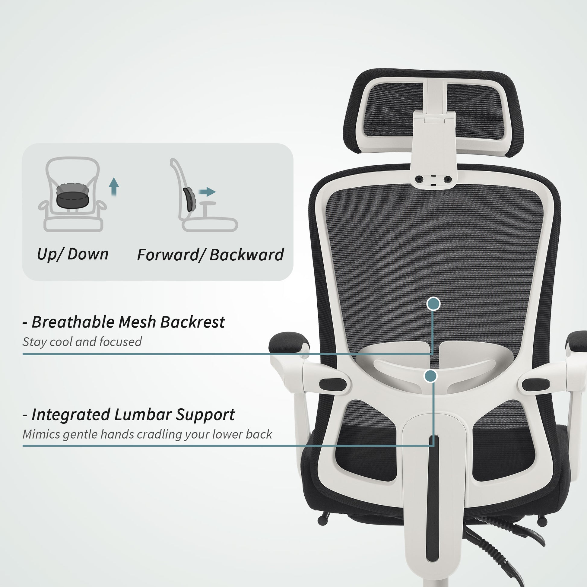 Ergonomic Office Chair, Mesh Reclining Desk Chair with Adjustable Lumbar Support, Headrest, Black