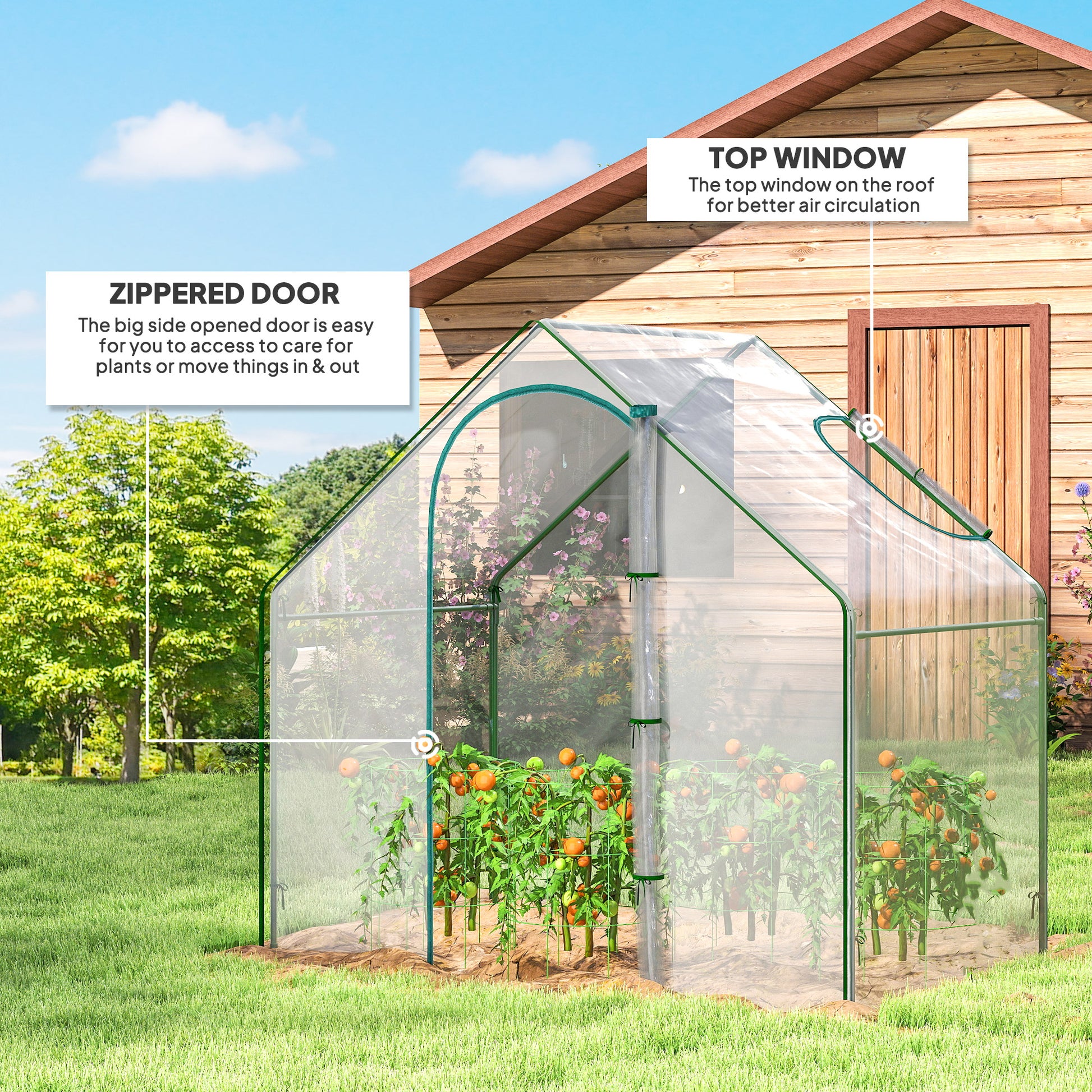 6'x3.3'x5.5' Walk-in Garden Greenhouse with Door and Window, Portable Mini Greenhouse for Plants Flowers Herbs, Steel Ou