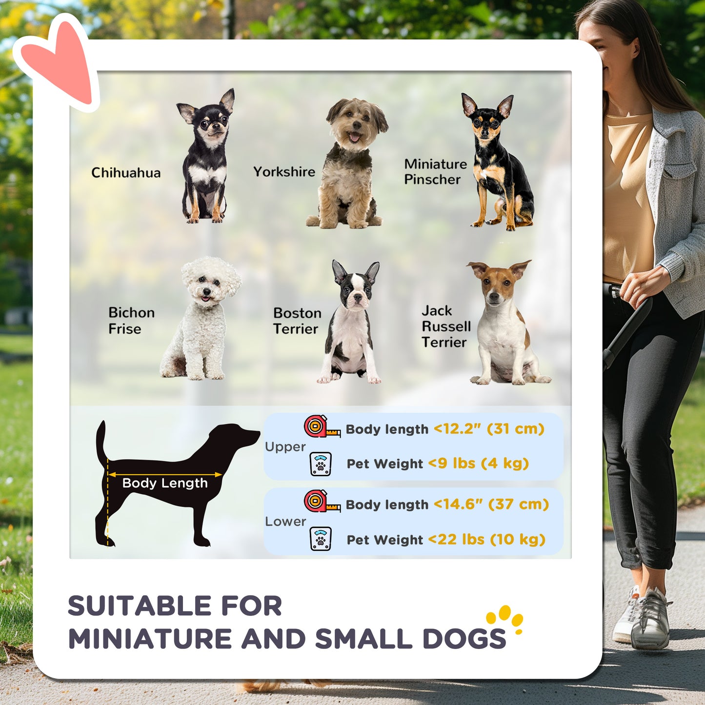 3-in-1 Double Pet Stroller for Small Miniature Dogs Cats with Removable Carrier, Foldable Travel Carrier Bag, Car Seat, 
