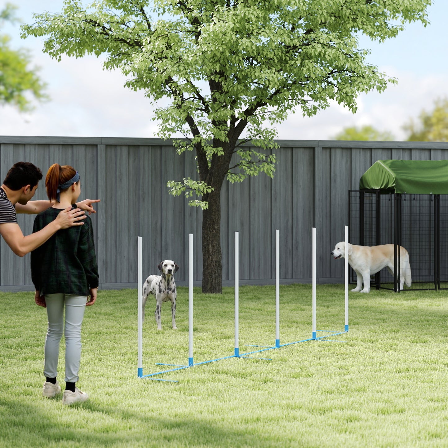 Adjustable Dog Agility Training Obstacle Set with Weaves Poles and Storage Bag for Pet Dogs Outdoor Games Exercise Blue 