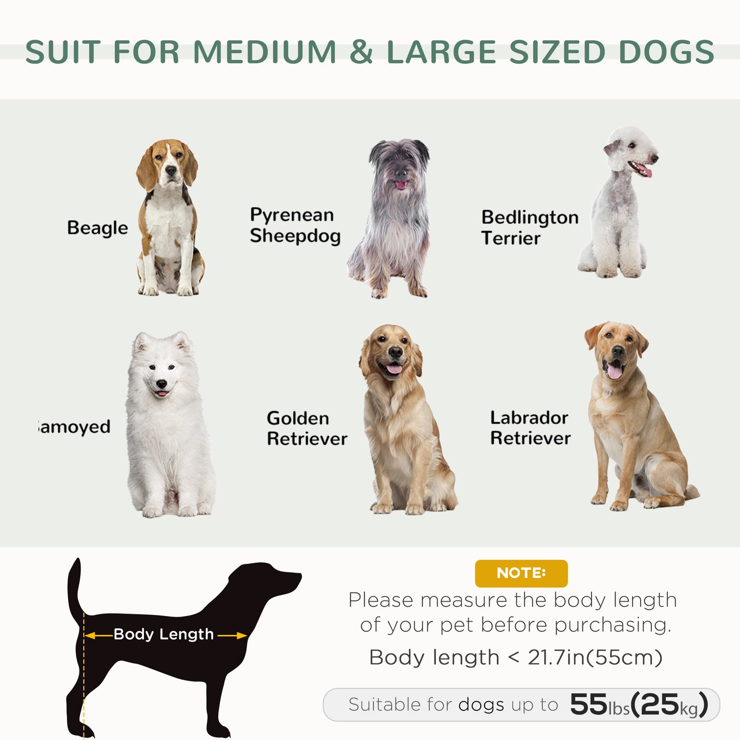 Dog Sofa Bed with Removable Pillows, Foam Pet Sofa Cat Sofa with Removable Washable Cushion, Water-resistant Fabric, for