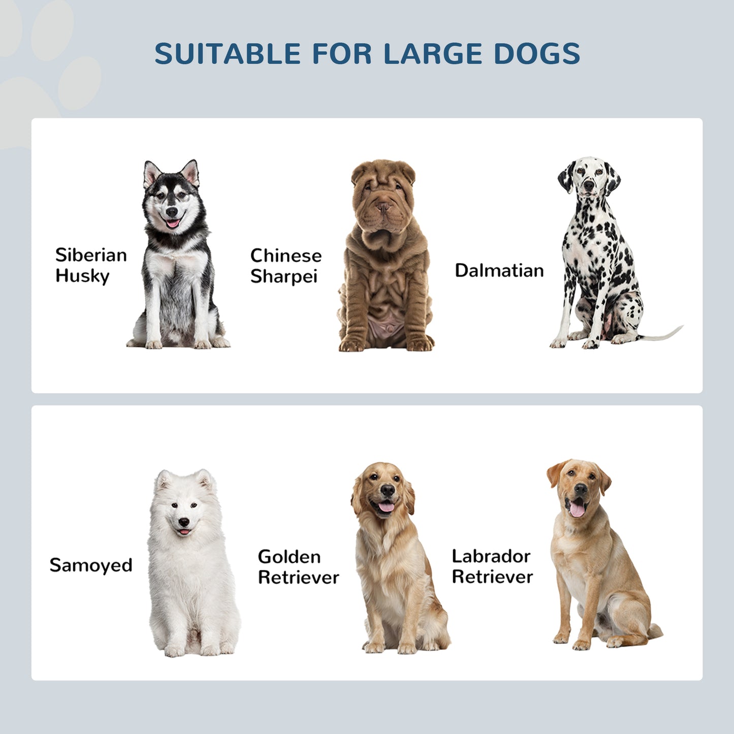 Elevated Dog Bowls for Large Dogs Pet Feeding Station with Stand, Storage, 2 Stainless Steel Food and Water Bowls, White